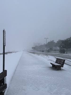 #snow #beach #mississippi #january #2025 #neverhappens 