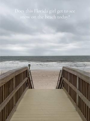 Is it snowing in Florida anywhere?!?!? #fyp #foryou #relatable #beachtown #snowatthebeach #snowatthebeachtaylorswift #snowinflorida #fernandinabeach #ameliaisland #nassaucounty 