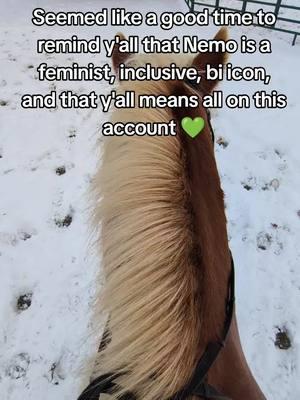 💚 #lgbtqequestrians #horsetok 