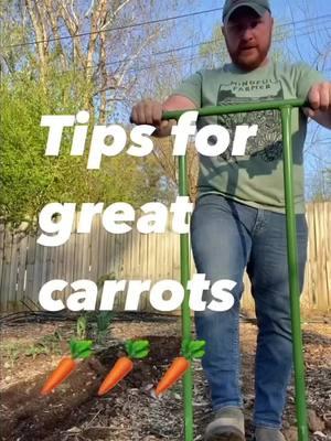 Grow carrots like a pro! 🥕🥕🥕 Carrots are a great crop for home gardeners and farmers alike. They yield a lot of food for little work or space. However, they can be a little tricky to get the consistency you want.  I have found using a broadfork really helps the carrots reach deep into the soil. I designed the Finesse broadfork to be multifunctional and ergonomic. I will use it to smooth the bed and mark my rows. I will also use it to harvest when the carrots are ready. The loosened soil also means that the carrots come up much easier.  Another tip is to space the seeds appropriately. Planting in straight rows allows you to cultivate more easily and consistently. Equal spacing of carrots also help ensure a consistent size. I recommend one seed per inch in-row. That way you don’t have to go back and thin. I will use my Razor cultivator to regularly cultivate between the emerging carrots once a week for the first four weeks and after that, I have no weed issues.  Finally, water lightly everyday for a week to prevent a crust from on clayey soils which may restrict some of the emerging carrot seedlings.  #carrots #homegarden #organicfarm #homesteading #homestead #notill #organicgardening #urbanfarm #homegrown #localfood