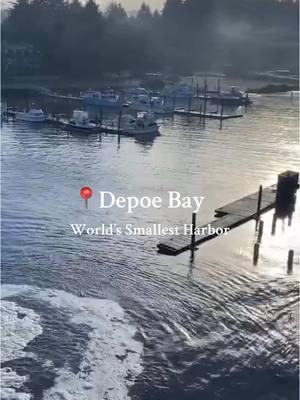 Welcome to Depoe Bay Harbor, the world’s smallest natural navigable harbor! Covering just six acres, this charming gem is connected to the vast Pacific Ocean by a unique 50-foot wide, 100-foot long rockbound, dog-legged channel. 🚤🌊 #thepeoplescoast  📷 @ adamrboudreau (IG) 