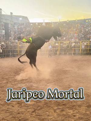 Poe eso le docen el ay guey 👀‼️ #jaripeo #jaripeoranchero #jaripeyerodecorazon #toros #destructoresdememoocampo #memoocampo #jaripeobaile #torosdereparo @Los destructores 