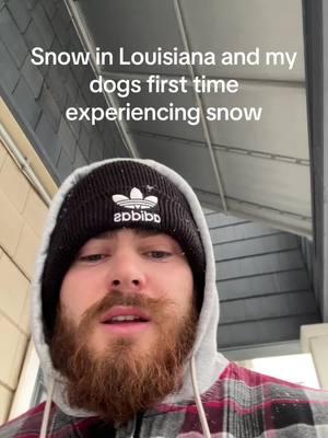 Snow in Louisiana and my dogs first snow storm🥹 #snow #snowday #dogs #germanshepherd #germanshepherdsoftiktok #outside #fun #cold #coldweather #foryou #fyp #tiktok #austinsimoneaux #like #watch #foryoupage #foryourpage #gringo 