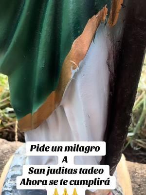 San juditas nos cuida #vendice_mi_famila🙏 #cuidame #entimeencomiendosanjuditas💚🤴 