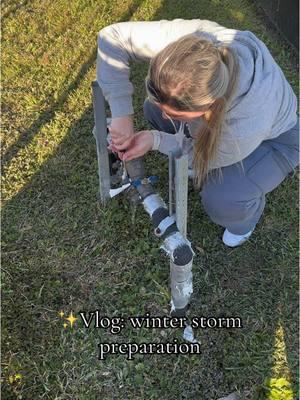 Part II: Draining my backflow’s water reserve and shutting off the water lines. You can also do this with your irrigation system using a flathead screwdriver🪛#Vlog #lapatrona #winterstorm #preparation #preparedness #backflow #irrigationsystem #plumbingtips #fyp #tiktoker 