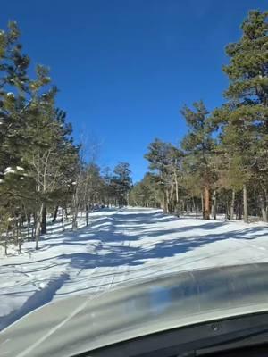 Beautiful morning #goodmorning #beautifulmorning #beautiful #mountainlife #Coloradoliving #coloradocheck #coloradotok #foryou #fyp #foryoupage #beautifulmorningdrive #peaceful #snowday #snowlovers #snow #snowtoks #snowtiktok #rockymountains 