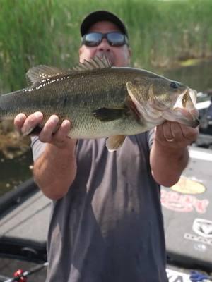 Week 4 of all NEW #ZAFS - We had record high water which opened up a shallow water slugfest - Non-Stop, Whip-Cracking HOOKSETS! This show quickly turned into a skinny water heavyweight fight.... @outdoor_channel_  . . @ramtrucks @Strike King Lure Company @Lew's Fishing @MinnKotaMotors @Mercury Marine @Power-Pole @thmarineteam @Fish Seaguar @bassproshops @brianeavey @AFTCO @Cudabrand @eallee @Humminbird @MillerTech Lithium @MyOutdoorTV #bassfishing #zafs #hookset 