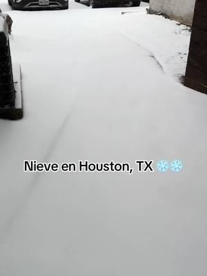 #nieve #houstontx #fyppppppppppppppppppppppp #fypシ #tiktok_viral 