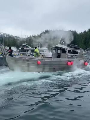 The Main Bay salmon opener in Alaska is not for the faint of heart... Wild video by @lavongall88 showing the chaos of all these commerical boats fighting for their piece of the prize. . . . . . . . . . . . . #BDOutdoors #bdoutdoorsdotcom #bloodydecks #offshorefishing #socal #fisherman #anglers