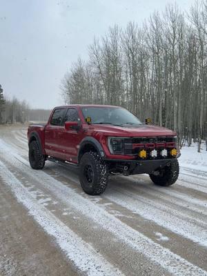 Snowy day in the mountains #raptor#raptorsoftiktok  