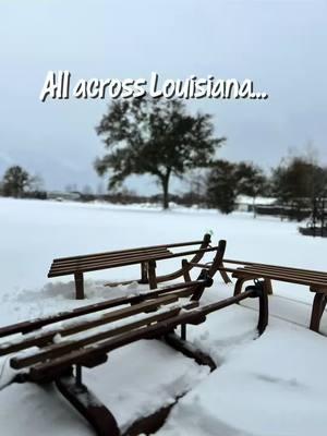 Sled?  Sleigh? Toboggan?  What do you call it? #swla #sulphur #lakecharleslouisiana #50isthenew30 #louisianasnow #marriagefun 