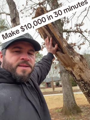 Right or wrong I’m gettin paid #right #wrong #customer #DIY #tree #treework #construction #concrete #bluecollar #trades #hustle #sidehustle #money #easy #hardwork #tips #tricks 