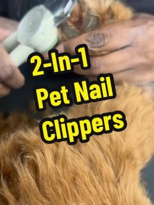 2-In-1 Pet Nail Clippers #CapCut #PetNailClipper #pet #nailclipper #pettok #tiktokmademebuyit #petcare #petgrooming #dog #dogcare #watch #2in1  #dogtok #animalsoftiktok #animaltok 