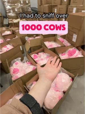 I hope I never have to do this again 🥲 #plushies #plush #SmallBusiness #ValentinesDay #pink #pinkaesthetic #pinktok #cows #cow #cowsoftiktok #plushtoys #plushie #stuffedanimals #valentinesdaygift #valentinesdaygiftideas #giftsforher #goftideas #businesstiktok #buisnessowner #warehouse #kawaii #kawaiiaesthetic 