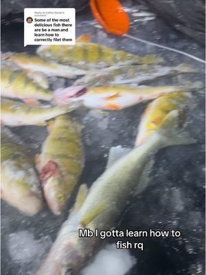 Replying to @Father Doran we call these “couch potatoes” that never actually go fish, but always have an opinion.  #icefishing #fishing #walley #perch #trout #hardwater #fyp #northernpike 