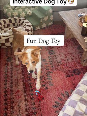 Touch Activated Dog Toy #dogsoftiktok #dogtoys #dogtoyreview #puppytiktok #ban #tiktokisback #fypシ 