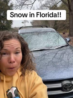 Snow in Florida! ❄️ #snowinflorida #snow #floridapanhandle #defuniaksprings #notinmiamianymore #winterinflorida2025 