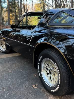 #pontiacfirebirdtransam #blacktransam #transamobsession #transam #1980transam #pontiacfirebird #classiccars #oldschoolclassiccars #transamnation #80srock #firechicken #ws6 