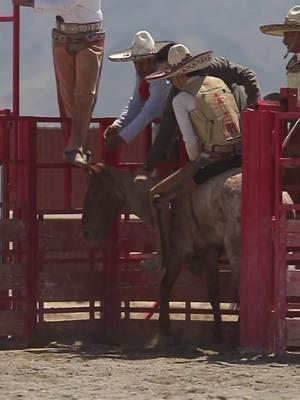 Boney ride😅 #accesorioshernandezz #countryboiiizzz🏜️ #forthechikibebis😏 #ecproduction #thehatshack 