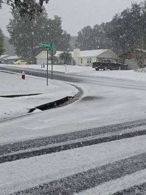 Pensacola Florida Snowfall #snow #winter #snowfall #wimter2025 #rareweather #pensacolaflorida 