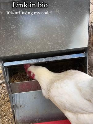 Reduce your rat and mice problems with this feeder! Link in my bio 💞 @myfavoritechicken #chickenfeeder #chickenhack #chickenupdate #ratproblem #ratproof #miceproof 