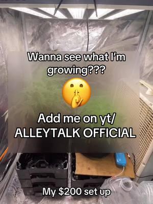 Grow tent #growtent #grow #TikTokShop 