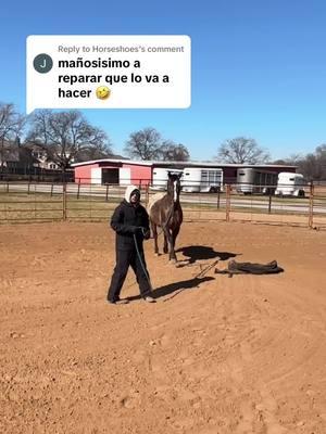 Replying to @Horseshoes #challengeperformancehorses #godfirst #win #caballos #vaquero #vaquera #wthp #escaramuza #charro #barriles #gentedeacaballo🐴🐎 #junipero #consejos 