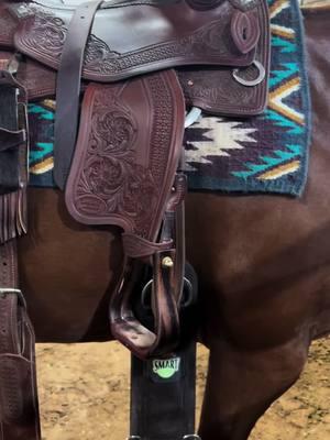 #kyletacksaddles #weaversmartcinch #barbiedreamhorse #greenreiner #horsesoftiktok #reininghorse #AQHA #APHA #texashorses #horsecare 