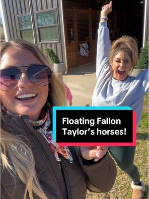 Always an honor to work on @Fallon Taylor horses 💕 Thank you @Lex for being my helper today. #horses #barrelracer #fallontaylor #equinedentistry #horses #horsetok #rodeotok #ranchlife 