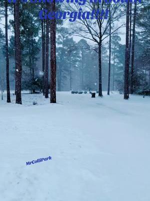 Snowing in South Georgia!!! I’ve never seen this much snow at my house! #fyp #albanyga #snow #georgia #snowstorm2025 ❄️❄️❄️