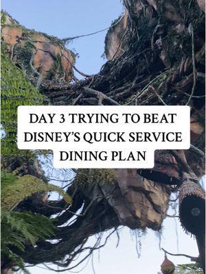 DAY THREE OF TRYING TO BEAT DISNEY’S QUICK SERVICE DINING PLAN! Animal Kingdom was absolutely breathtaking and so much fun. We are officially halfway to our goal and we still have a few days left to go. This has been really fun to keep track of. Tomorrow is Disney Springs 🥰 #disney #disneydining #disneydiningplan #waltdisneyworld #disneyworld #beatdisneydiningplan #disneyquickservicediningplan #disneymealplan #disneyfood #disneyvacation #animalkingdom 