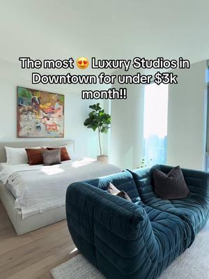 🫢 Hands down the Best Deal in Town.  📲 Call before they are all gone.  #dtla #apartmenttour #losangelesapartment #apartmenttherapy 