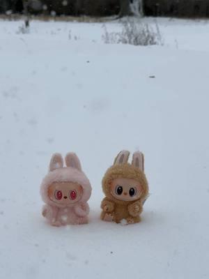 Labubu first snow ❄️☃️🌨️#labubu #labubuthemonsters #snowinlouisiana #swla @POP MART US 