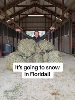 I’m so freaking excited!! ❄️  @Hay Chix®  #snowinflorida #florida #floridawinter #snow #barnprep #barnchores #barrelracer #barrelhorses #horsecare #horsechores #grwm #icantwait 