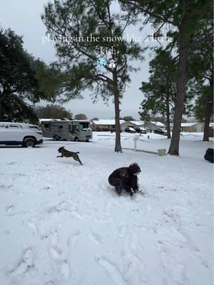 It may be cold but my heart is so warm 🌨️❤️ #fypシ #fypシ゚viral #fypageシ #houstontx #tx #snowing #snowingintexas #texassnowday #articfreeze 