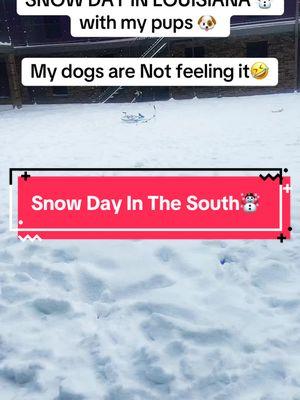 It’s SNOWING in the SOUTH/Granbabies’ 1st snow day #southernlouisiana #thesouth #southlouisiana #snowday #snow2025 #foryoupage #foru #foryou #foryourpage #fyp #fyp #grandbabies #momtiktok 