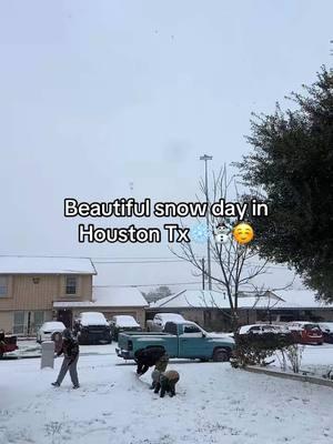 Beautiful morning today! We enjoyed it so much! Thank God we didnt lose power! Made the experience even better☺️❄️☃️ #winterstorm2025 #houstontx #houstontexas #houstonwinterstorm #snowday2025 #houstonsnowday #familytime #familytiktok #familythings #familyfun #doyouwannabuildasnowman 