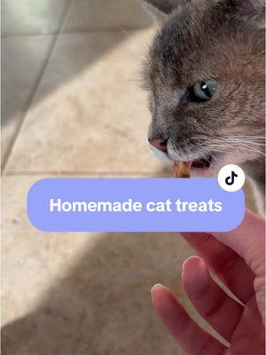 #homemadecatfood #cattreatrecipe #cattreat #catfood #catnutrition #whatmycateats 