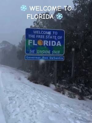 snow day in Pensacola, Florida.  #Pensacola #Florida #FloridaSnow #WinterStorm ❄ #wx #flwx 