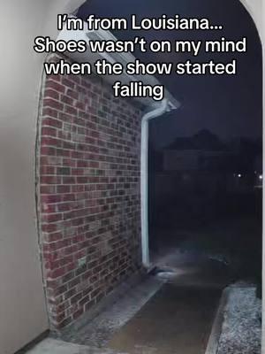 And then moved on like nothing happened… I just wanted to get a picture of the snow 😂😂 #fyp #louisianasnowday #louisiana #snowday #foryoupage #funnytok 