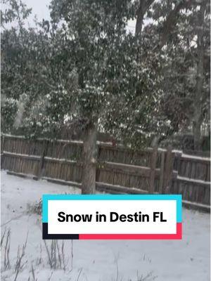 Let me start by saying we live in a beach town and we are snowed in for the first time since we moved here in 2016! Snow in Destin, FL? Never thought it would ever happen, but 2025 hasn’t really been predicable 🥴 #snowindestin #destinflorida #destinbeach #snowinthesouth #ivorylovesya 