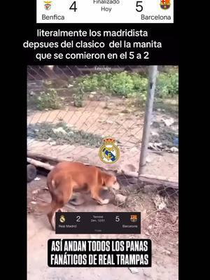 barcelona hoy #fcbarcelona#humor @mark #thegoat🐐🐐 #cules #elgoat🐐🐐🐐 #mart_643 #argentina #messi #barcelona #leomessi #mart_643 #argentina #barcelona #leomessi #parati #latina #futbol⚽️ #Soccer #elchiringuitotv #realmadridfc #lapulga #fcbarcelon💙❤️⚽️🔝🔥futbol #