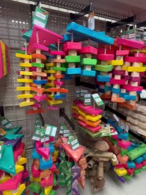 Come check out all our amazing large parrot toys here at Parrot Stars🦜. #parrots #parrot #parrotstars #parrotstarsarlingtonheights #parrotlife #parrottoys #largeparrot #parrottoy #forage #foragingtoy #variety #bird #SmallBusiness #macawtoys #cockatootoys #chunkywood #woodtoy #enrichment #fyp #foryoupage 