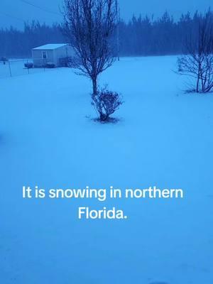 #snow #articstorm #florida #fyp #foryou 