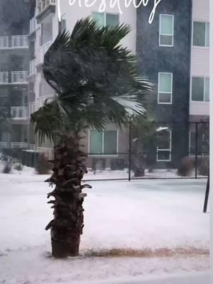 PENSACOLA FL SNOW ❄️ #florida #flwx #pensacolabeach #snow 