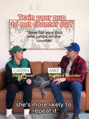 Counter surfing can be a tough one to unlearn... Here's a few tips from our in-house dog trainer Caitlin!🙌🏽🐶🐾 Stay tuned for part 3 for more tips on this topic! #pupford #countersurfing #puppytraining #pupfordtrainingtreats #pupfordapp #countersurfingtips