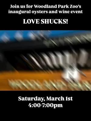 🦪💗🥂🐾 Oyster lovers, get your Love Shucks tickets now for our inaugural oyster and wine event on March 1, 2025! Shout out to @SEAshucked for this 🦪🥂epic reel—we can’t wait to see them (along with other fabulous oysteries and wineries) as we celebrate oysters, wine and wild romance! Get tickets and all the delicious details at zoo.org/loveshucks or link in bio. #pnw #seattlefoodie #seattlefood #oysters #pnwonderland #pnwlife #woodlandparkzoo 