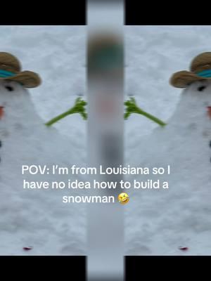 #louisianasneauxman #mamaitried #somebodyhelpme #louisianasnow 