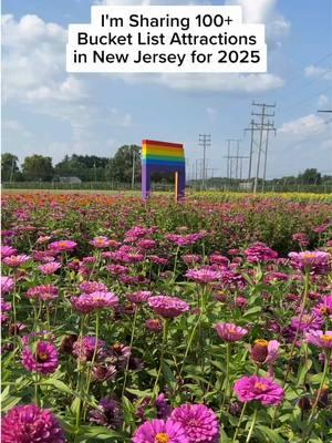 The Ultimate 2025 New Jersey Bucket List (100+ Things to Do)😆 📌Full guide with details including timeframe and address on my blog. Here’s some of them: 1. Skiing & Snowtubing at Mountain Creek 2. Visit a Pop-Up Ice Rink for Ice Skating 3. Go Skiing or Snowtubing at Campgaw Mountain 4. Take a Hike at Palisades Interstate Park 5. Take a Pottery Class at a Local Studio 6. Take a Winter Hike at Ramapo State Forest 7. Visit the New Jersey Botanical Garden & Skylands Manor 8. See the Cherry Blossoms at Branch Brook Park 9. See a Field of Daffodils at Reeves Reed Arboretum 10. Holland Ridge Farms U-Pick Tulips Spring Spectacular 11. See the Flowers at Frelinghuysen Arboretum 12. Go Hydrobiking on Lake Hopatcong 13. Explore Lambertville, NJ & New Hope, PA 14. Walk Across the Swinging Bridge at Stony Brook in Princeton Battlefield State Park 15. Visit the Grounds for Sculpture 16. Go Whale Watching in Cape May 17. Explore Willowwood Arboretum 18. Rudolf W. van der Goot Rose Garden 19. See Peonies in Bloom at Peony’s Envy 20. Go Birdwatching at Cape May Point State Park 21. Climb the Cape May Lighthouse 22. Visit the Ocean City Boardwalk 23. Spend a Summer Day on Long Beach Island (LBI) 24. Go Railbiking in Cape May With Rev Rail Co 25. Visit Island Beach State Park 26. Stroll the Asbury Park & Ocean Grove Boardwalk 27. See the Roses at Deep Cut Gardens in Middletown 28. Visit the Leonard J. Buck Garden 29. Kayak at the Delaware Water Gap 30. See a Concert at the Stone Pony Summer Stage 31. Explore Batsto Village in Wharton State Forest 32. Do a Zip Tour at Mountain Creek This Summer/Fall 33. Ride the Alpine Mountain Coaster at Mountain Creek 34. Visit Jenkinson’s Aquarium & Boardwalk 35. See the Sunset Behind the Waves in NJ 36. Go Blueberry Picking at a Local Farm 37. Try Parasailing in Wildwood 38. Seek Thrill at TreEscape Aerial Adventure Park 39. Catch a Minor League Baseball Game 40. Spend an afternoon at Beach Plum Farm 41. Pick Your Own Flowers at Melick’s Town Farm 42. Visit the NJ Sunflower Trail at Von Thun Farms 43. Go Peach & Apple Picking at Melick’s Town Farm 44. Hike the Appalachian Trail Boardwalk See my blog for the rest!✨ #njblogger #njthingstodo #nj #newjersey 