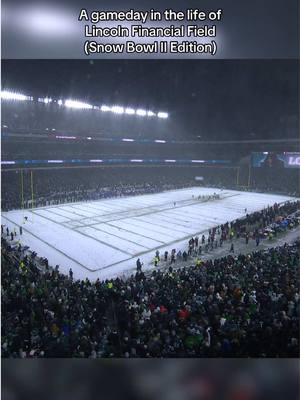 Playing in a winter wonderland #eagles #nfl #snowbowl #NFLPlayoffs #timelapse 